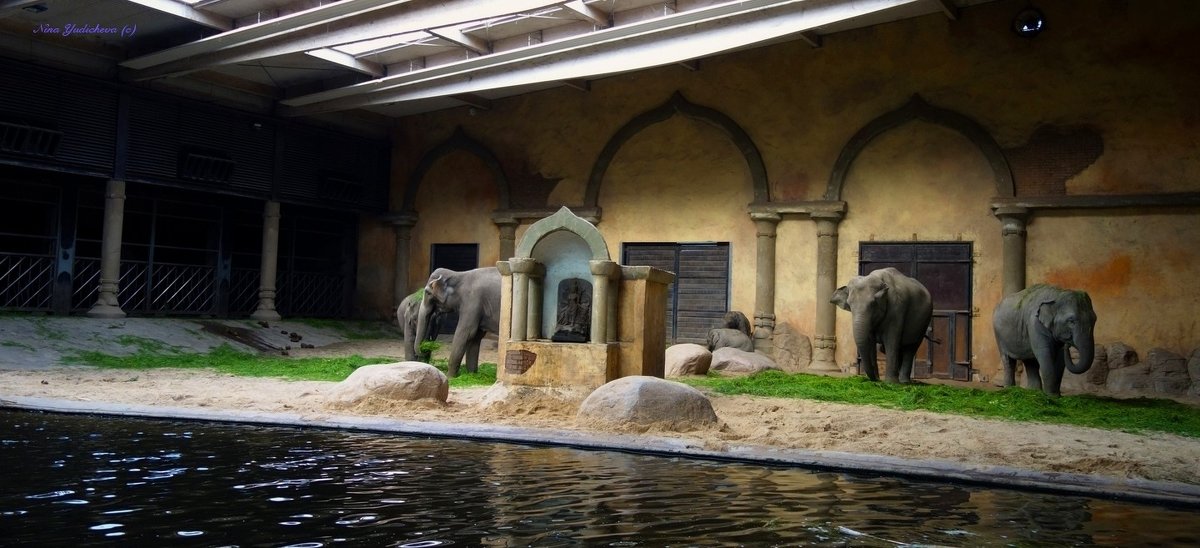Резиденция слонов - Nina Yudicheva
