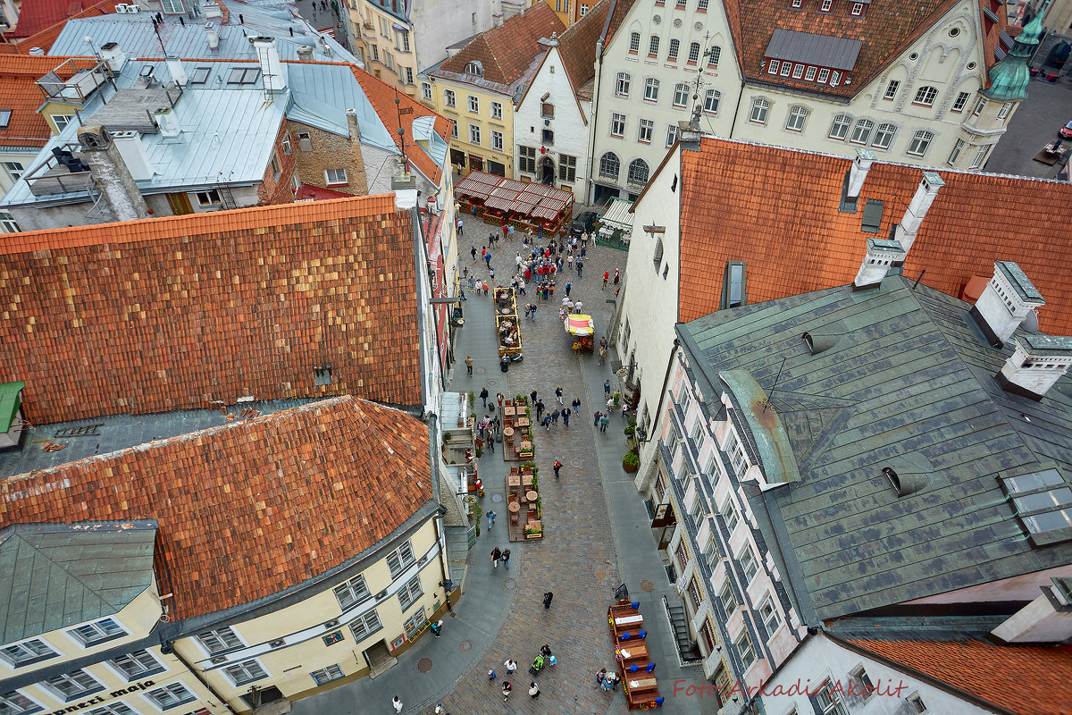 Fotostuudio AKOLIT, Tallinn, Arkadi Baranov fotograaf. - Аркадий  Баранов Arkadi Baranov