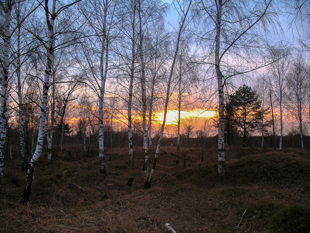 Закат - Марина Ломина