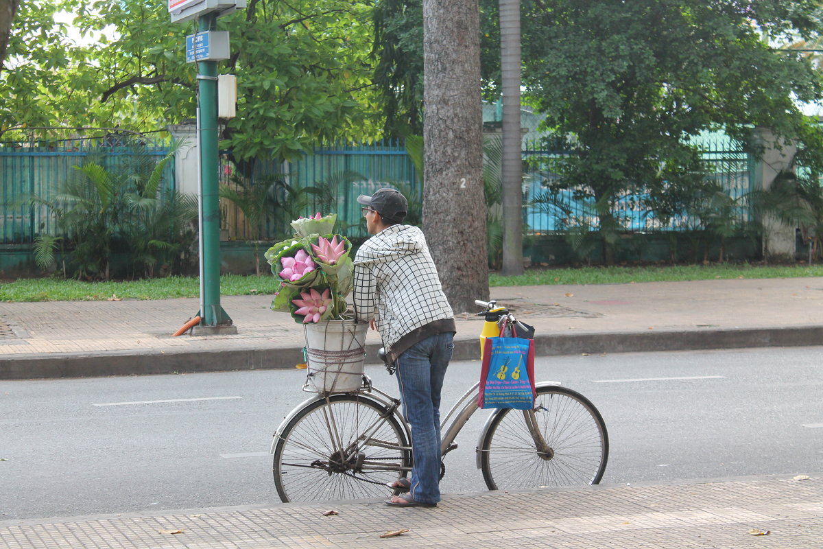 торговец цветами Сайгон - maikl falkon 