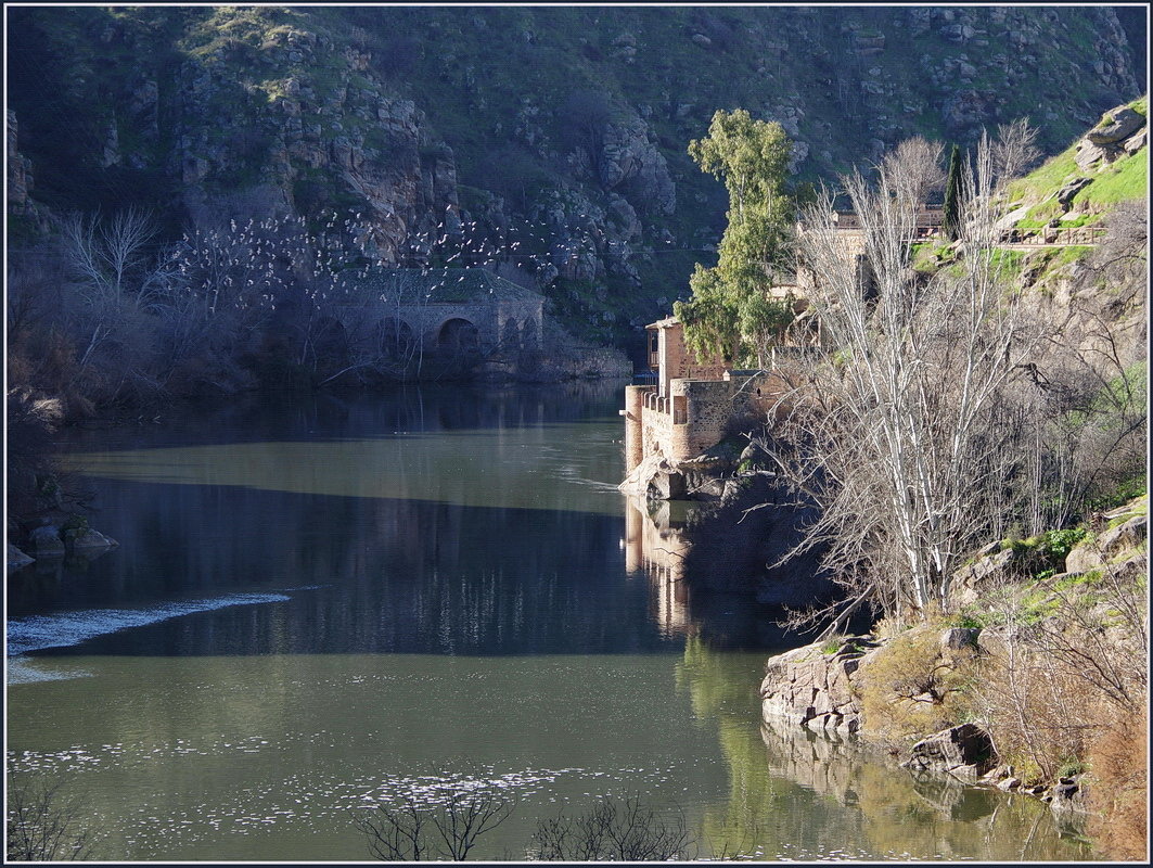 Вид на реку Тахо около Толедо, Испания. - Николай Панов