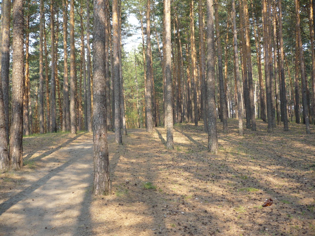 Бийск - Олег Афанасьевич Сергеев