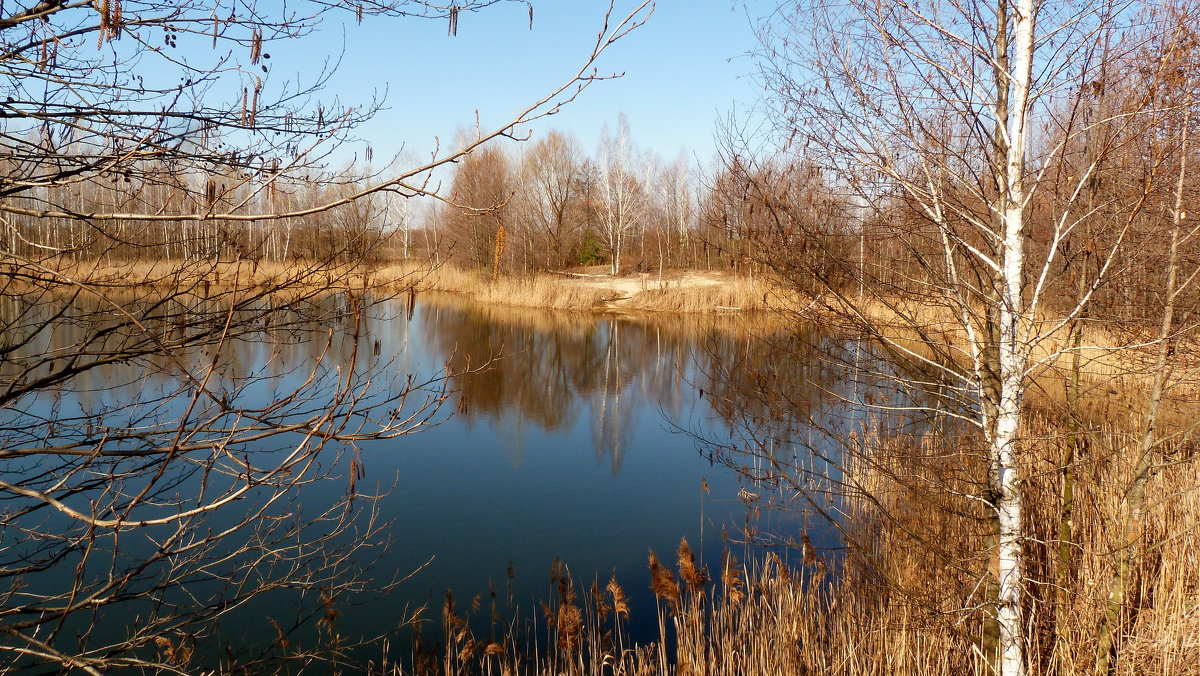 погожий денёк в марте - озеро - Александр Прокудин