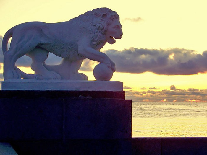 лев у Финского залива - Miko Baltiyskiy