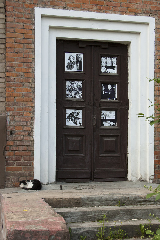 Черно-белая жизнь черно-белого кота - Андрей Мердишев