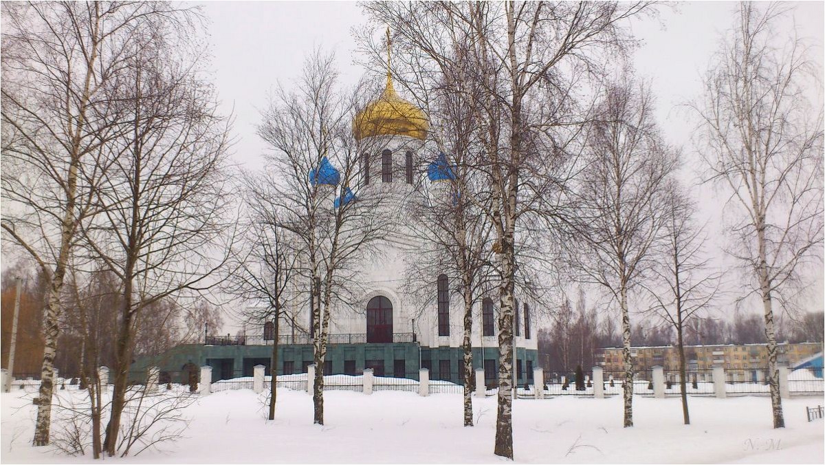 И сквозь веточки березы - золотые купола. Смоленск. - Наталья Портийо