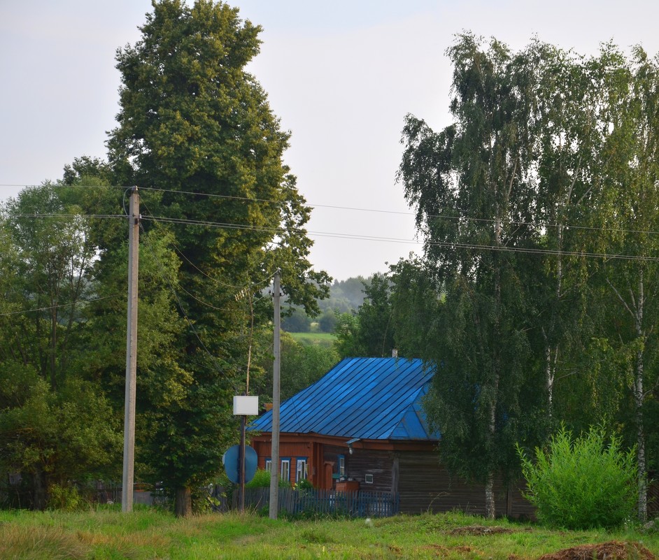 Дом в деревне - Елена Зинякова