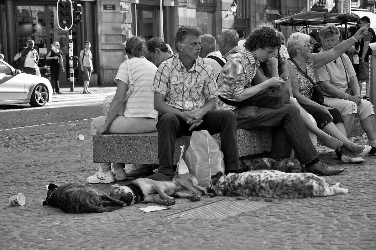 Площадь Дам. Амстердам, 2012.. - Алексей Антонов