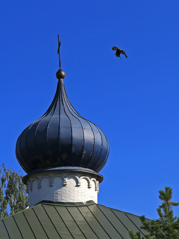 птица над куполом - Валерий Валвиз