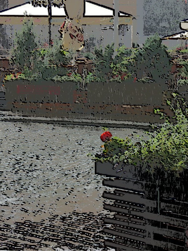 Цветок под дождём. - Serb 