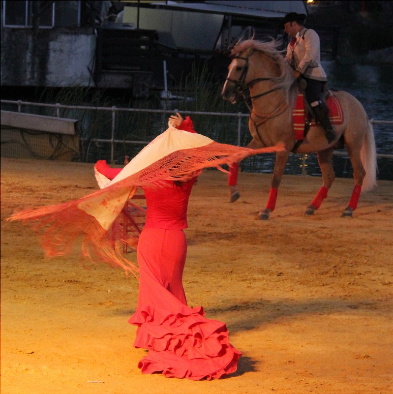 Фламенко шоу в Севильи (Испания) - Alekra 