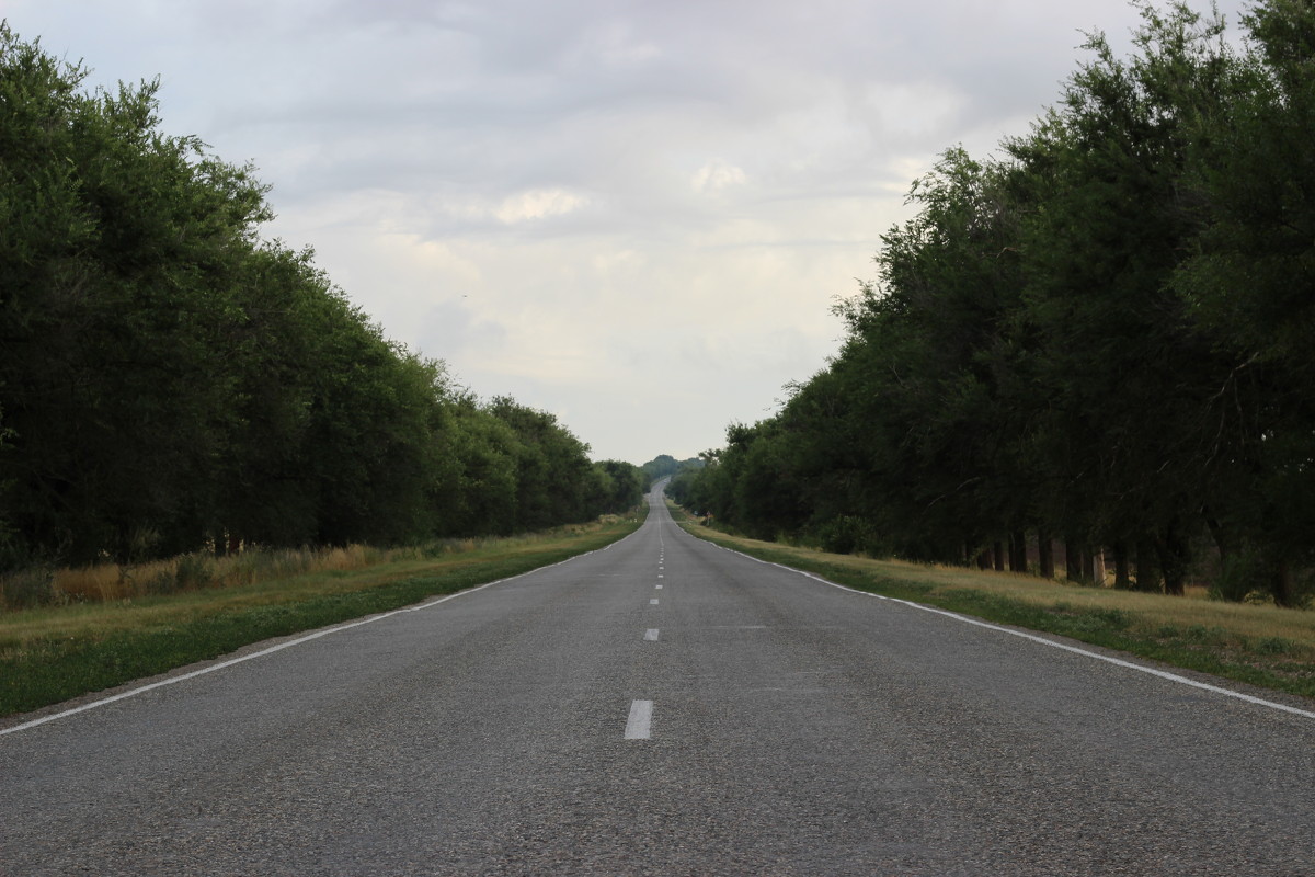 Дорога домой - Анзор Агамирзоев