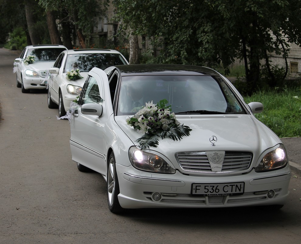 свадьба - lev makhnev