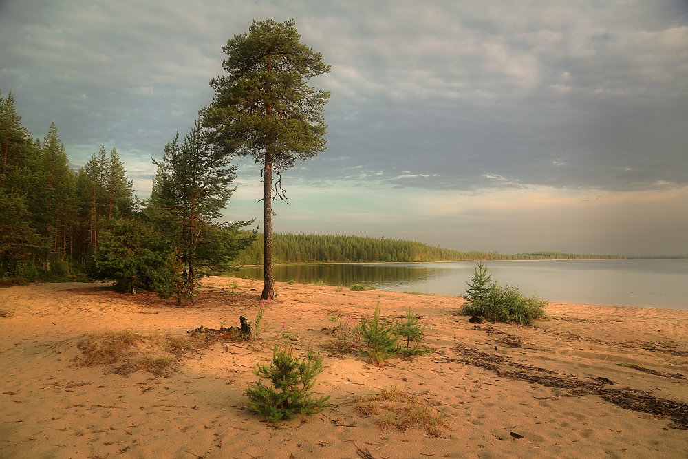 *** - Александр Морозов