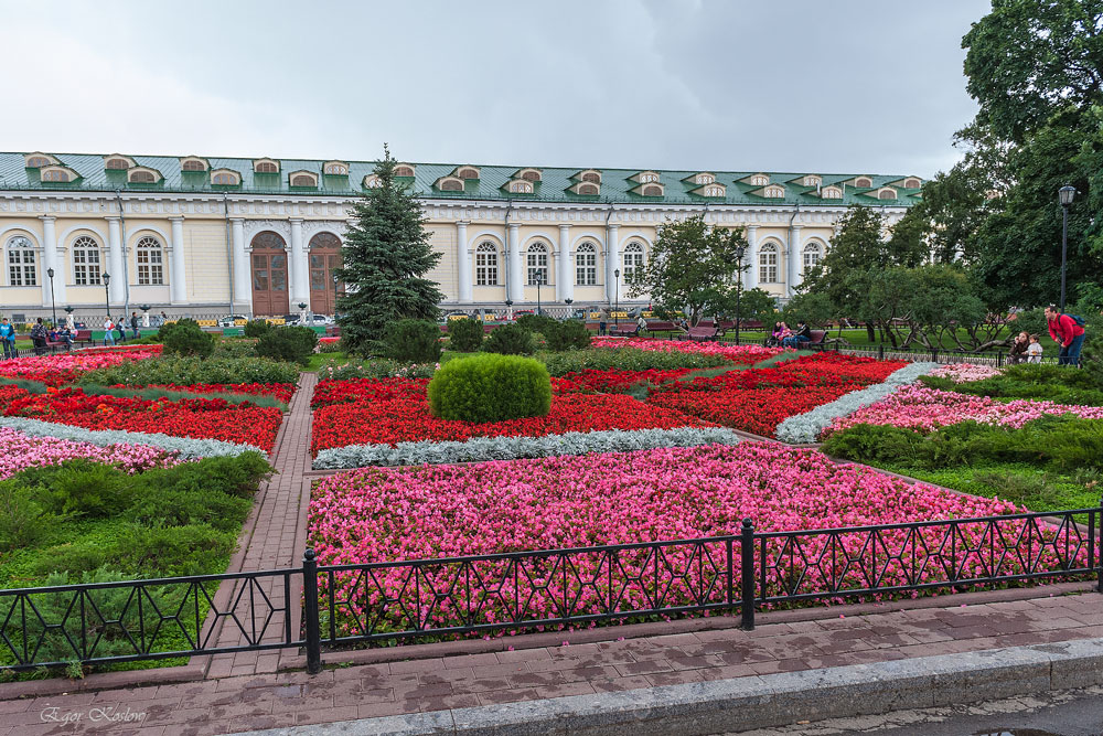 *** - Егор Козлов