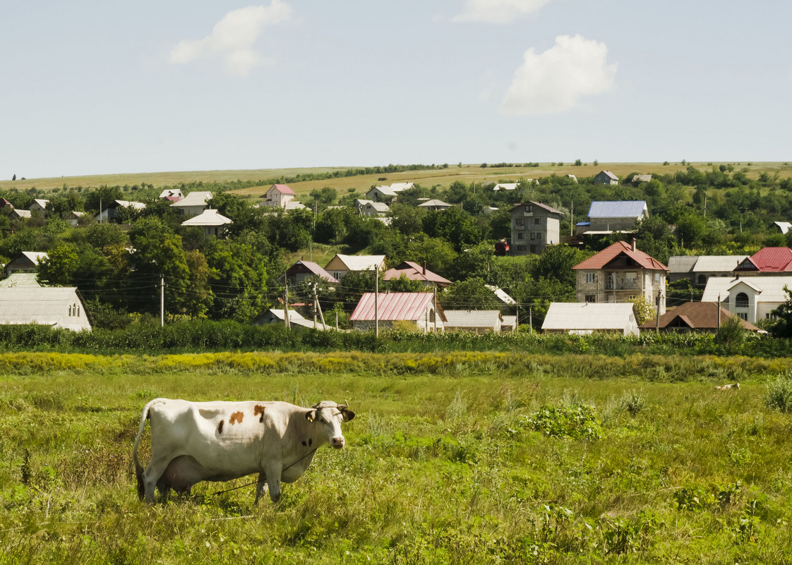 Село - Андрей Бурлака