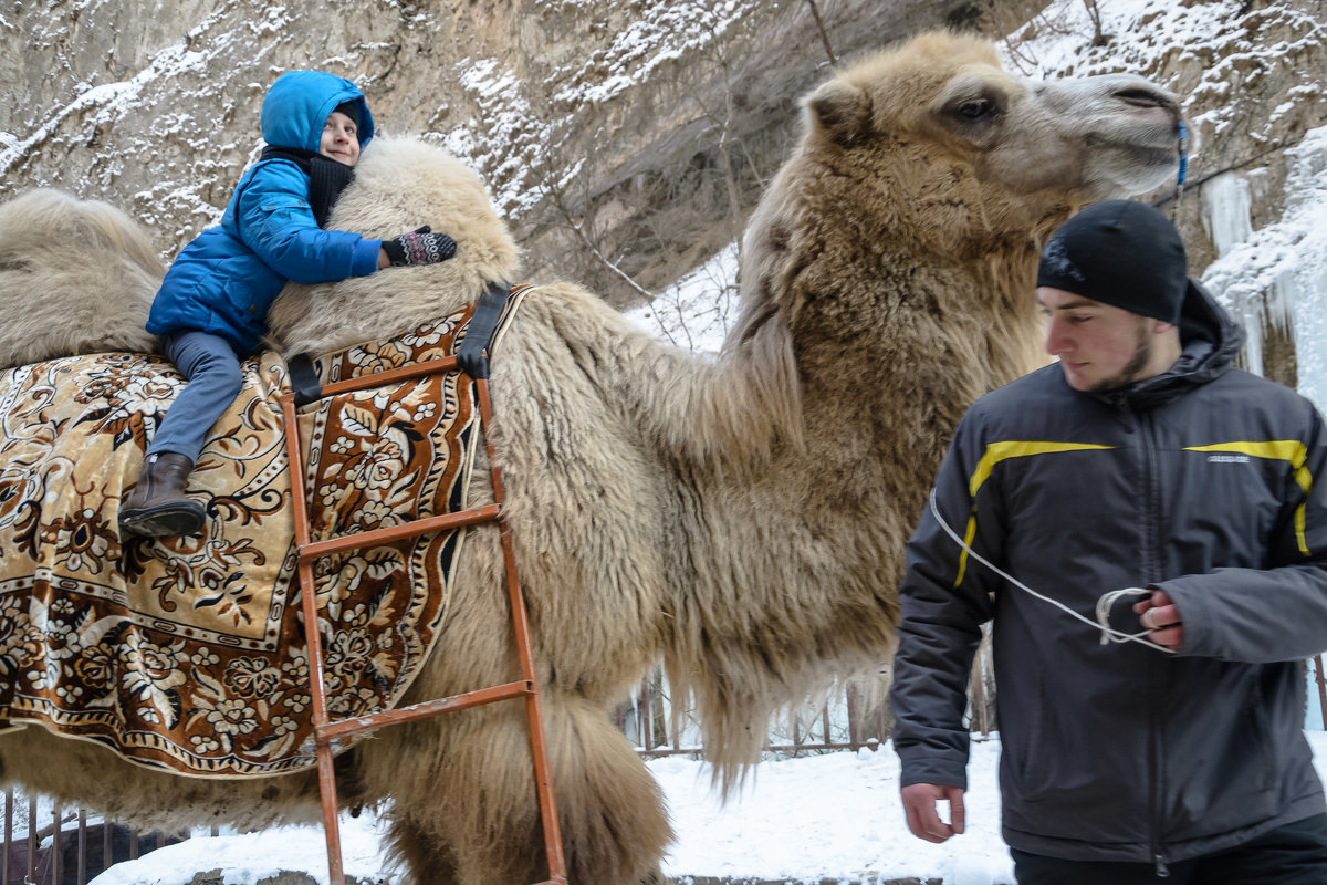 *** - Юлия Бабитко