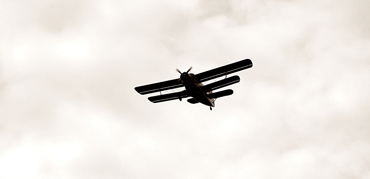 Ан-2 в полёте - Владимир Болдырев