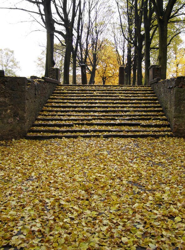 Autumn at Riga - Анна Воробьева