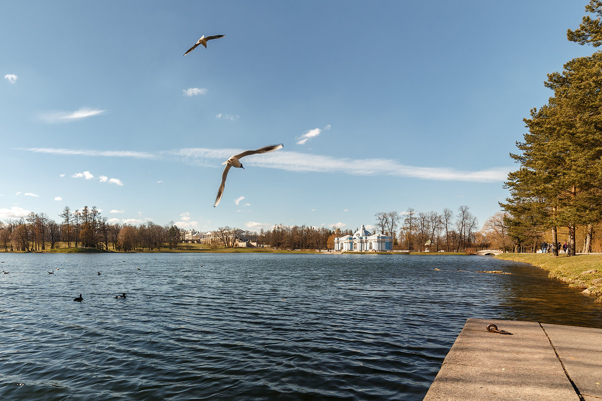 В Екатерининском Парке, Царское Село - Александр Кислицын