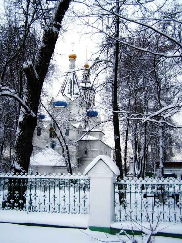 Успенская церковь в Вешняках - Анна Воробьева
