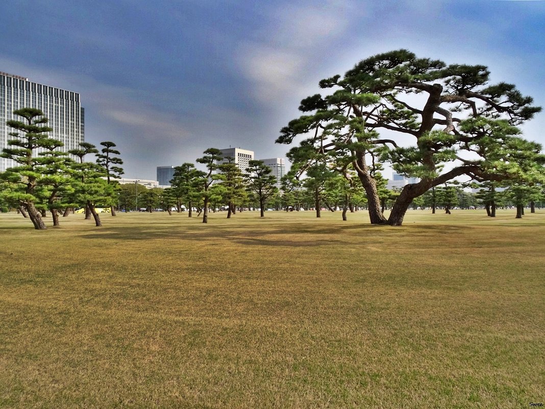 Район Marunouchi Тоkyo - wea *