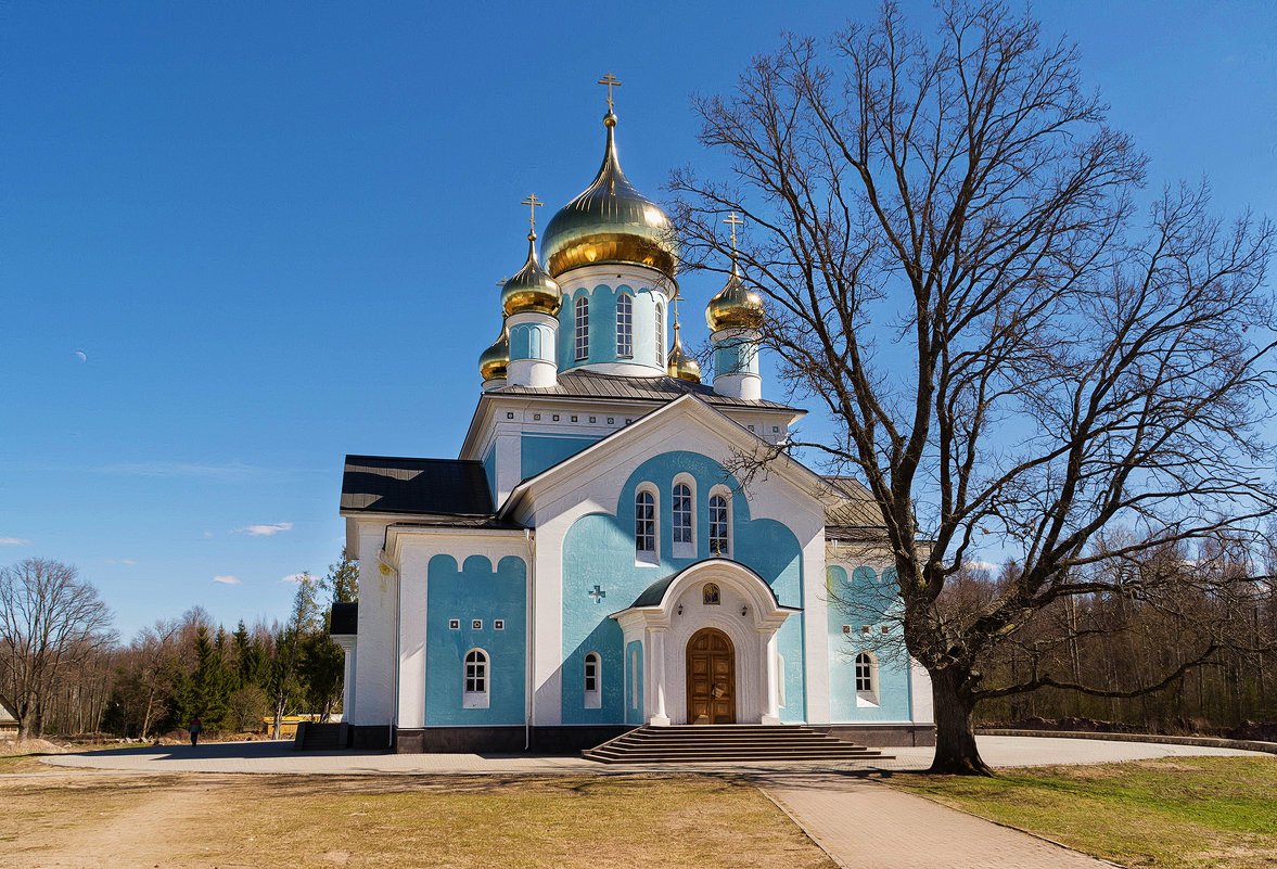 Никандрова пустынь, Благовещенский собор - Владимир Демчишин