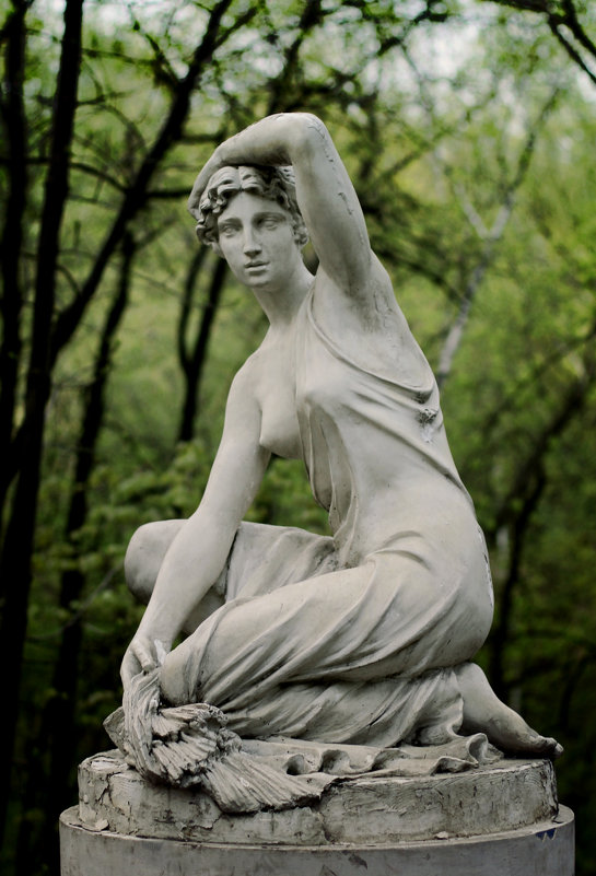 Статуя - Мария Соколова