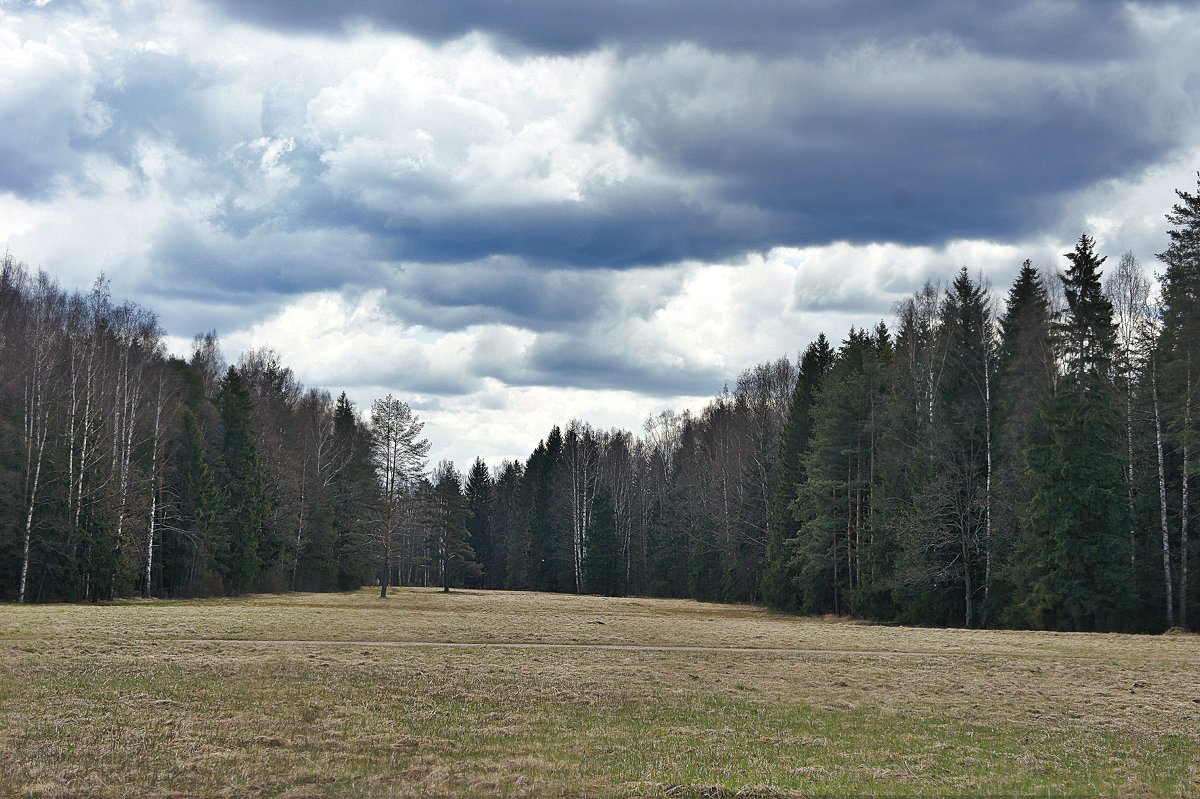 Павловский парк. "Самое красивое место" - Елена Павлова (Смолова)