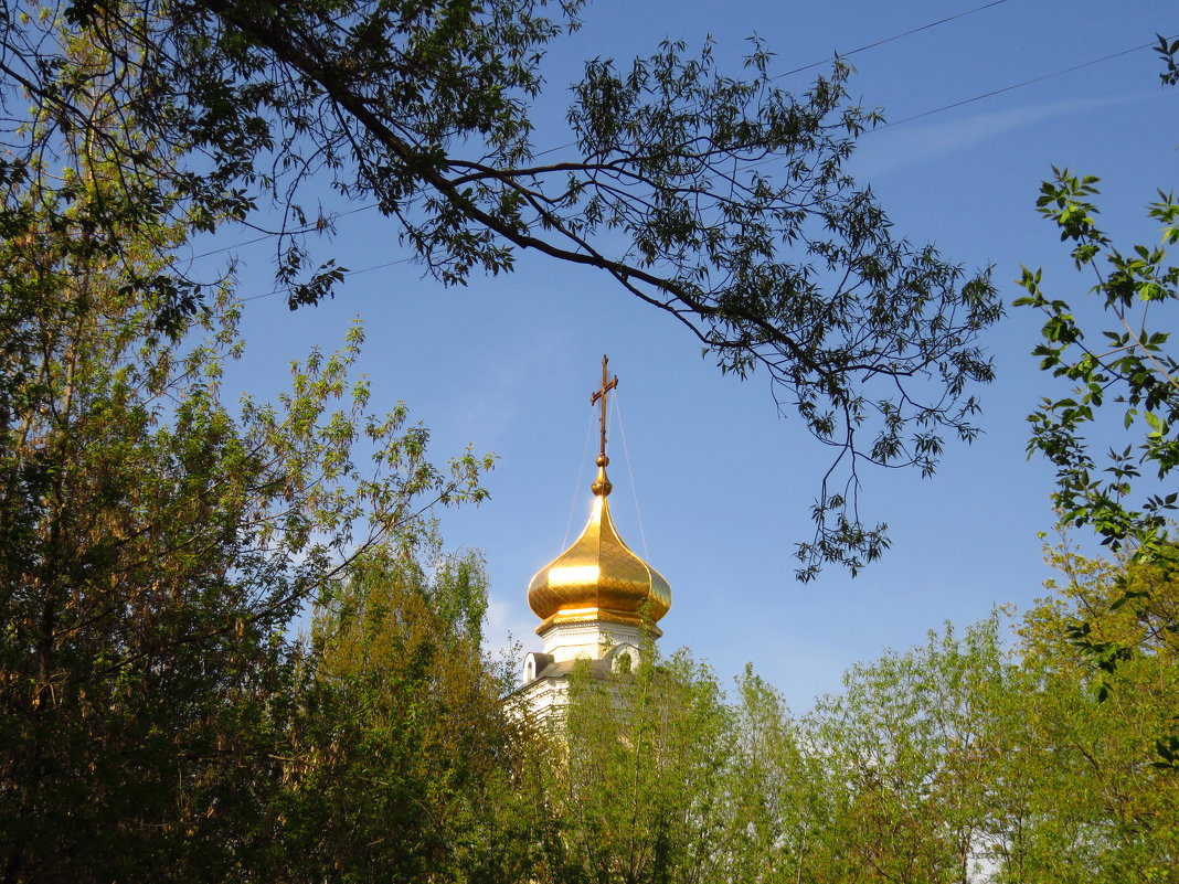 Поиск наилучшего ракурса - Андрей Лукьянов