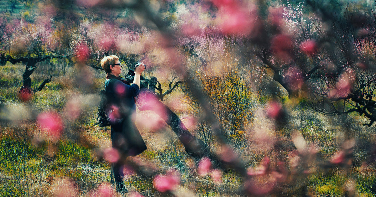 Фотограф цветущего сада - Ольга Мальцева