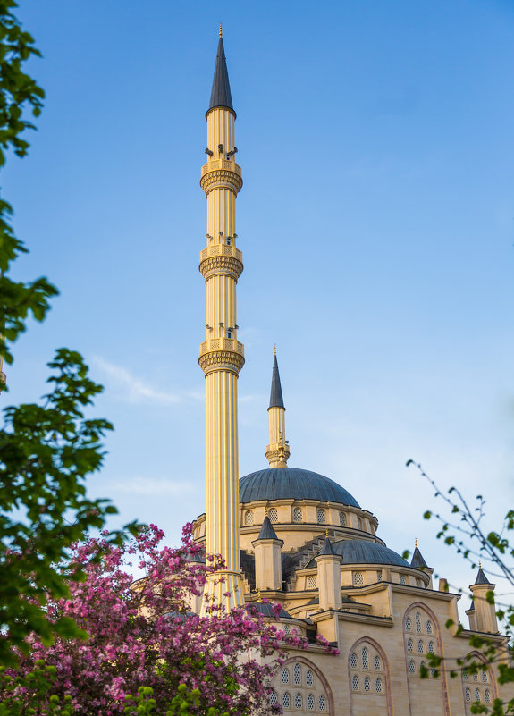 Мечеть "Сердце Чечни" - Muhammad 