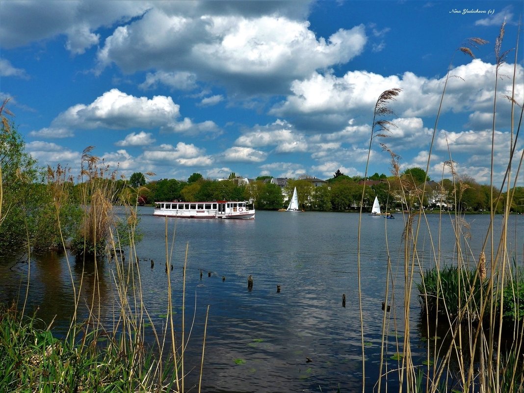 Alster. Hamburg - Nina Yudicheva