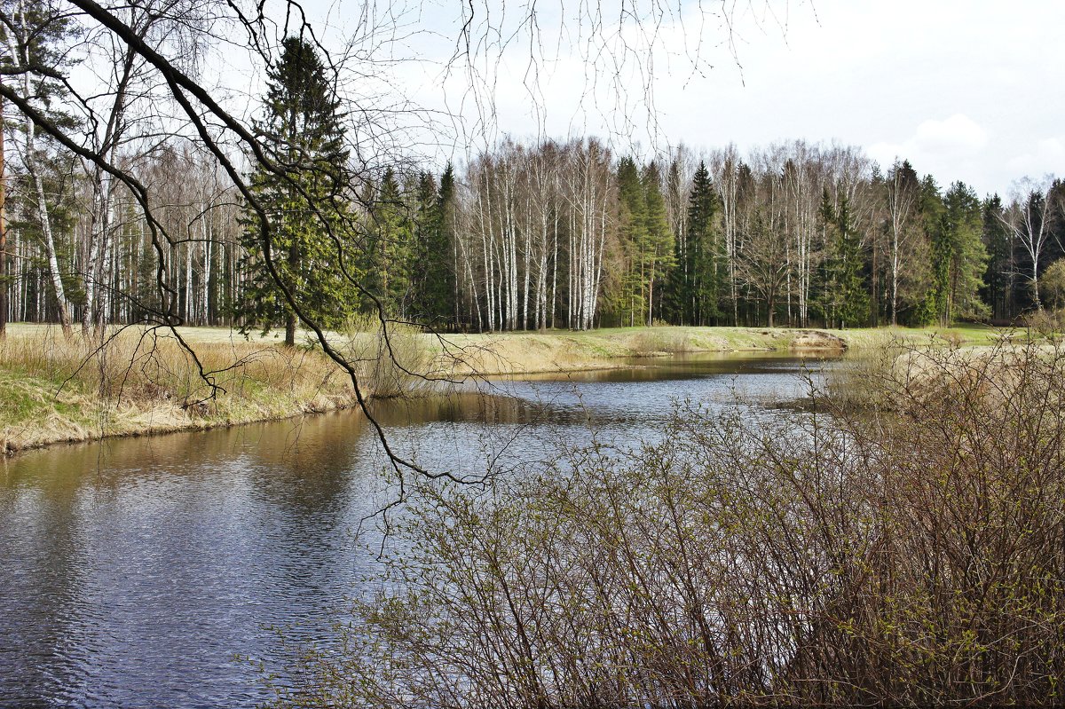 Павловский парк. Круглозальный пруд - Елена Павлова (Смолова)