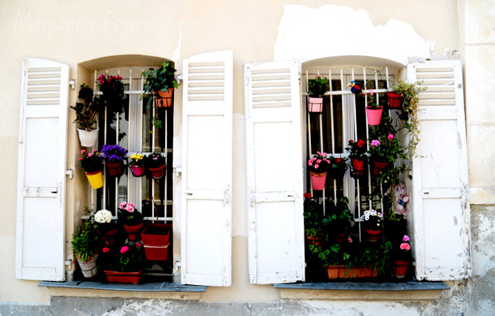 Rue Montmartre. - Марианна Привроцкая www.zadnipryanaya.ru