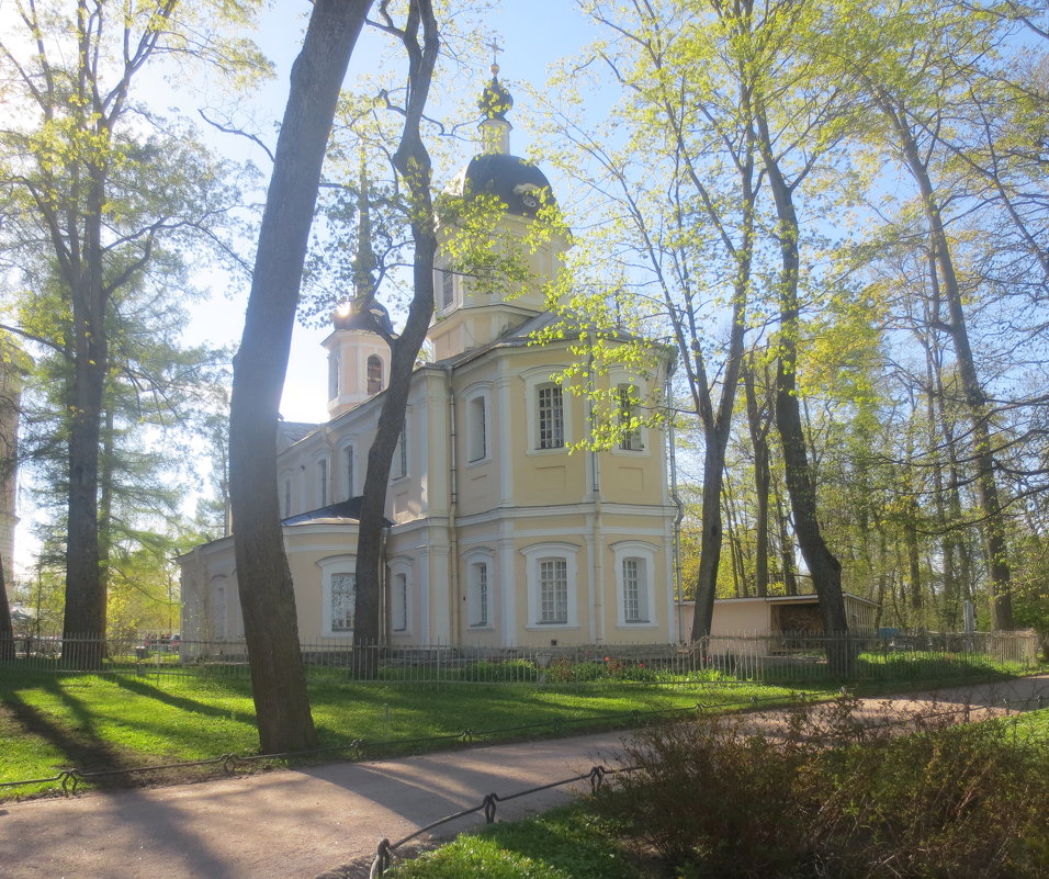 Знаменская церковь в майской зелени - Елена 