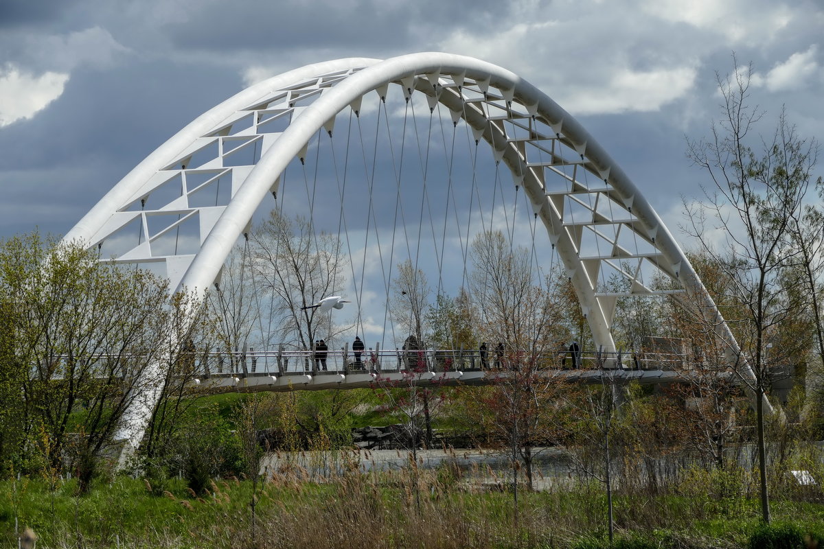 Арочный мост через реку Хамбер и летящая цапля (Этобико, Канада) - Юрий Поляков