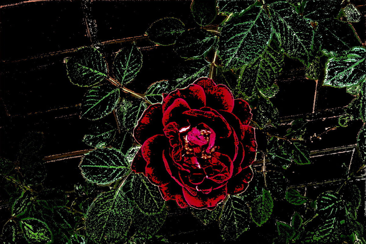 Грёзы красной розы - Нина Корешкова