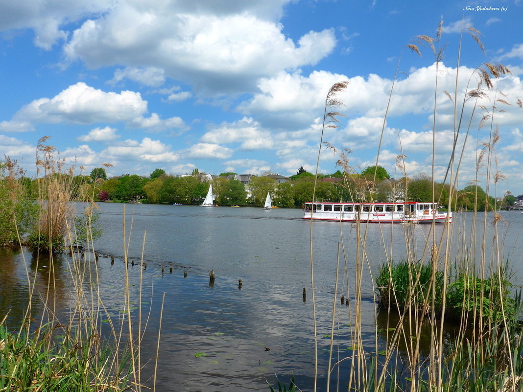 Alster. Hamburg - Nina Yudicheva