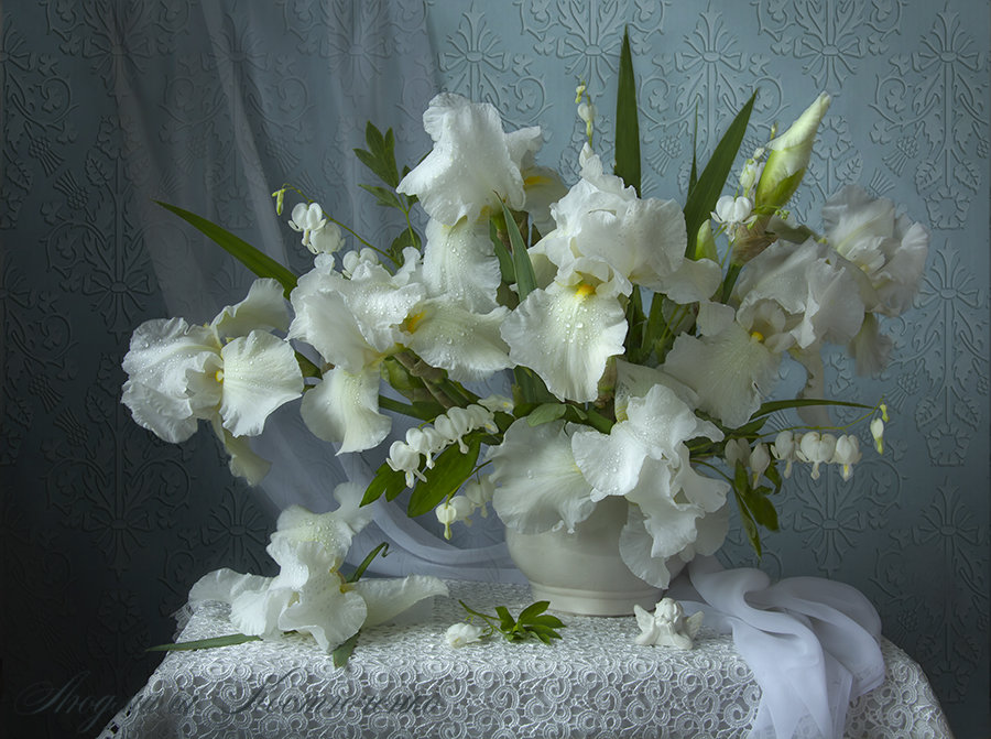 Белый Ирис цветок