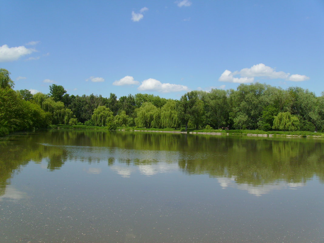 Небольшое   озеро   в   Ивано - Франковске - Андрей  Васильевич Коляскин