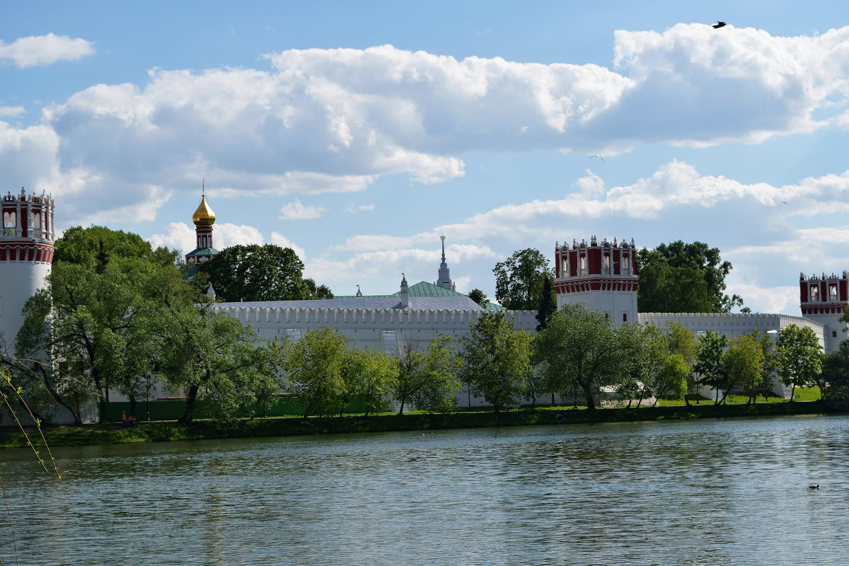 Вид на крепостную стену Новодевичьего монастыря - Татьяна Помогалова