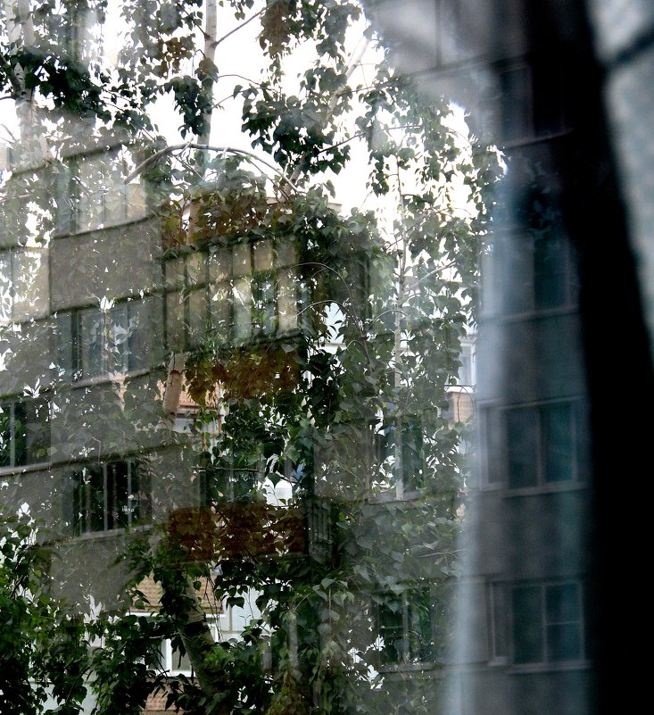 "Сюр" за  моим  окном.... 1 - Валерия  Полещикова 