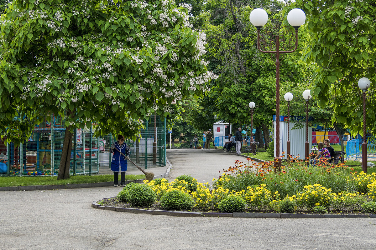 В городе цветет катальпа - Игорь Сикорский