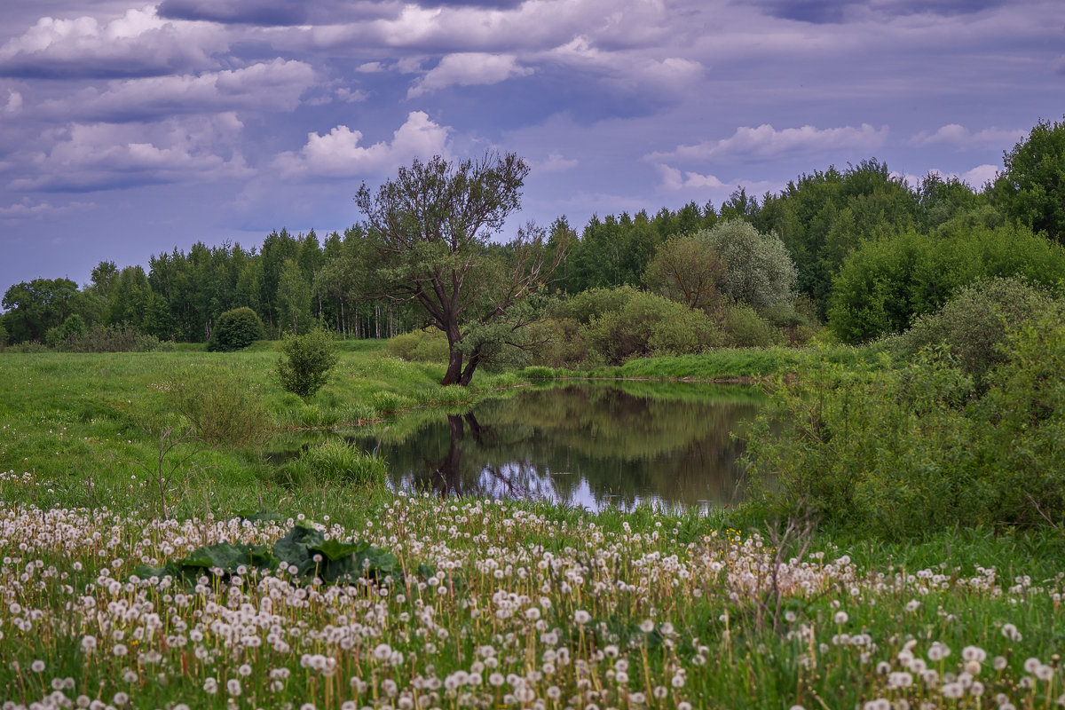 Озеро - Андрей Дворников