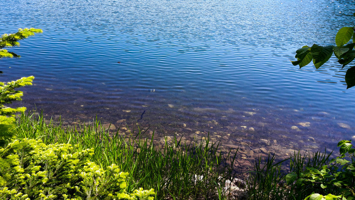 Голубое озеро - Светлана 
