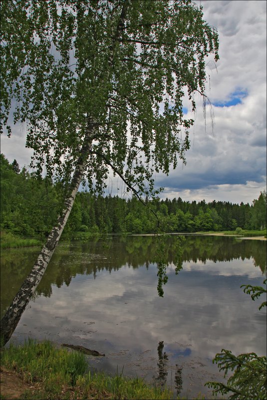 Воря, речка где и летом вода ледяная - Дмитрий Анцыферов