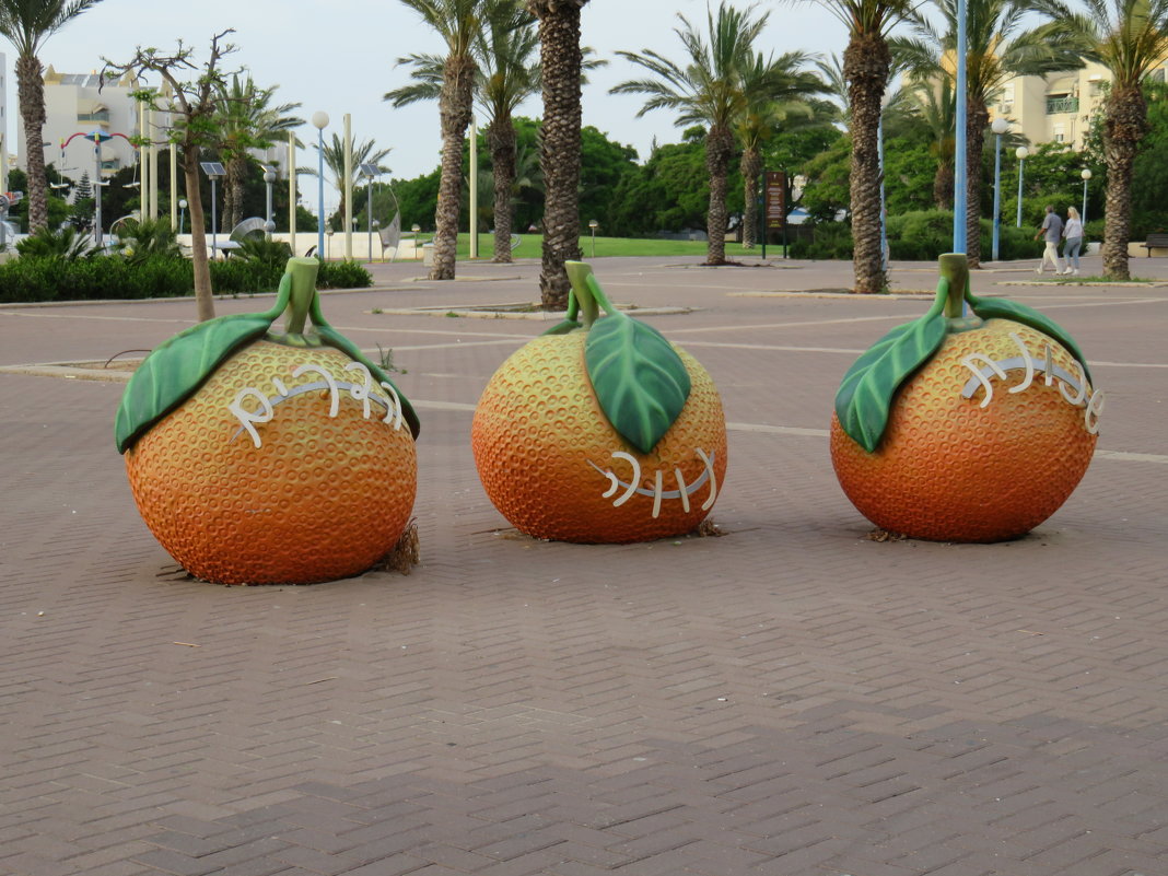 Три апельсина - Герович Лилия 