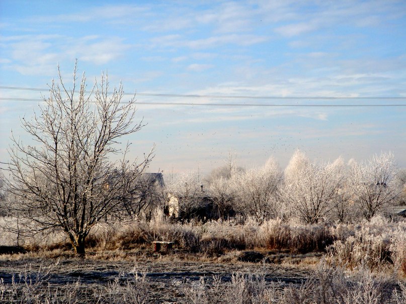 Winter reflexions - Роман Комина