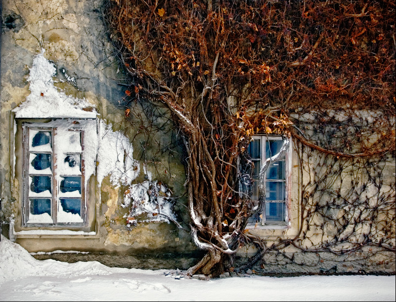 Стена старого дома - Надежда Кондратьева